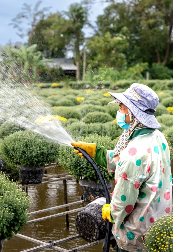 free-photo-of-gardener-watering-plants