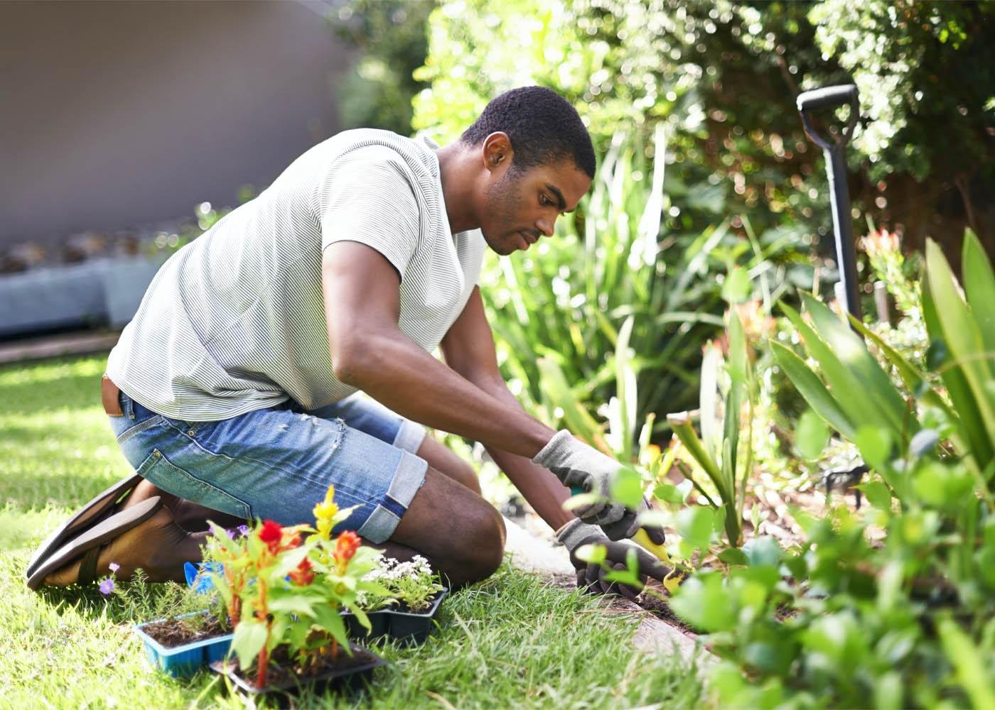 landscaping