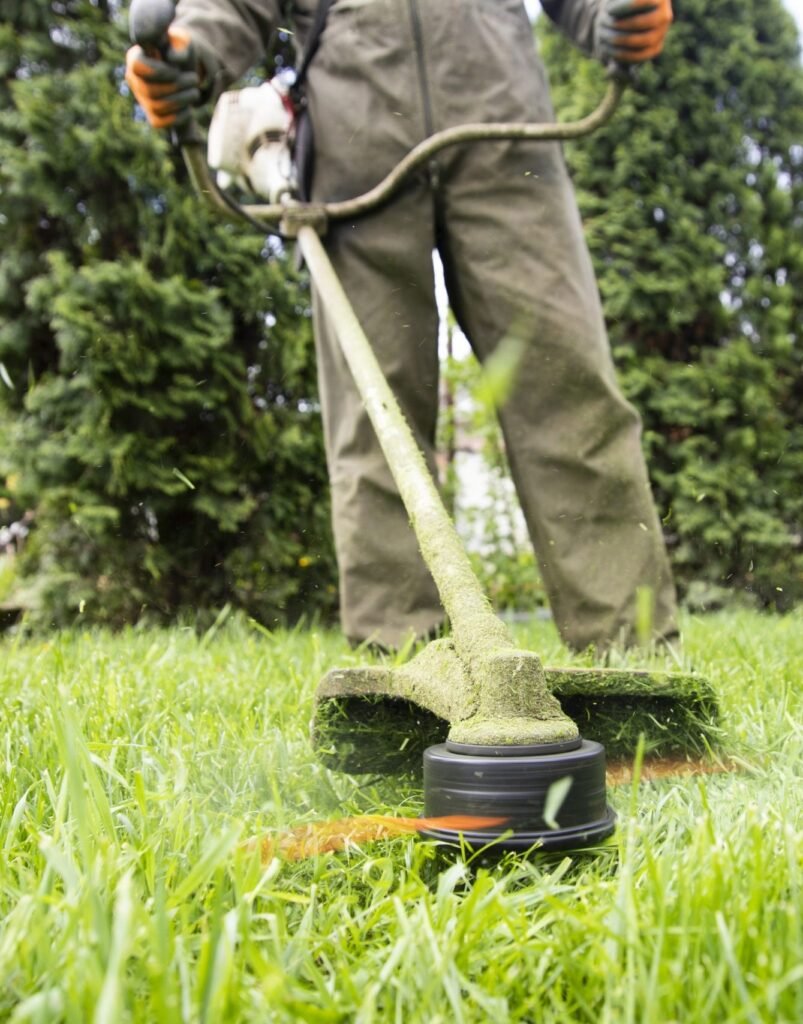 lawn-mover-on-green-grass-machine-for-cutting-lawn-5KMDV8A-scaled
